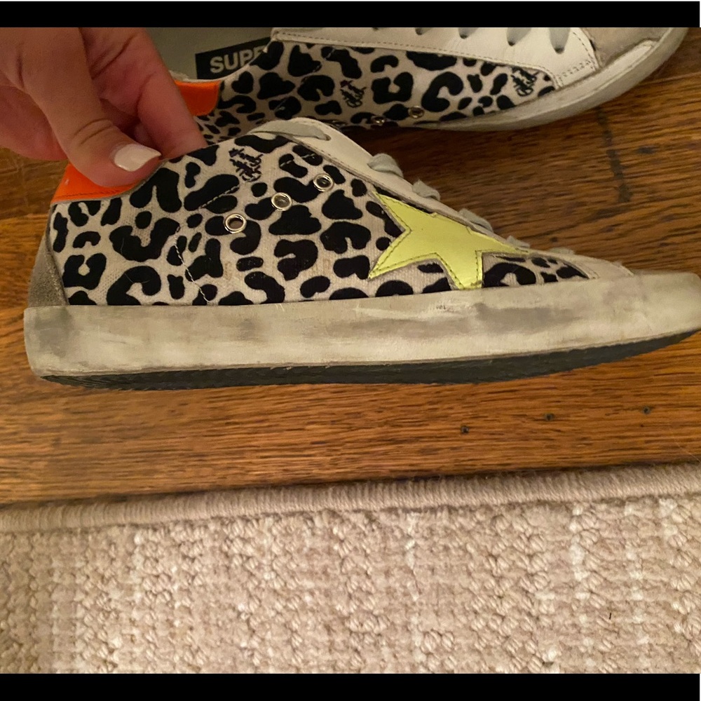 Cheetah Golden goose - Picture 7 of 8